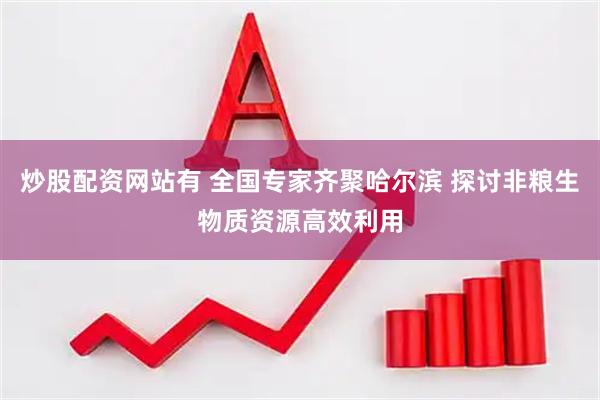炒股配资网站有 全国专家齐聚哈尔滨 探讨非粮生物质资源高效利用
