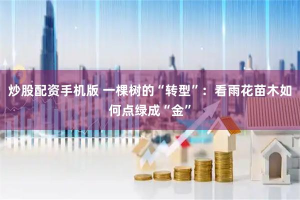 炒股配资手机版 一棵树的“转型”：看雨花苗木如何点绿成“金”