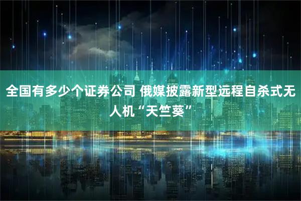 全国有多少个证券公司 俄媒披露新型远程自杀式无人机“天竺葵”